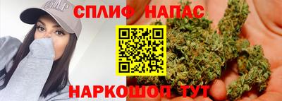 винт Будённовск