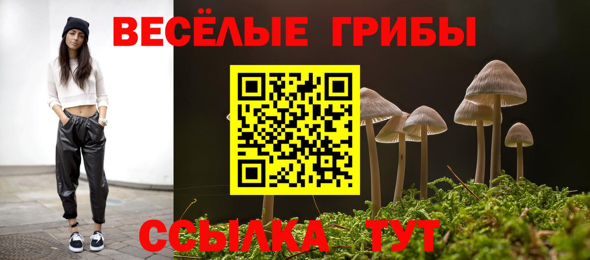 Галлюциногенные грибы Psilocybine cubensis Саратов